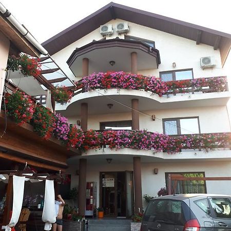 Pensiunea Daiana Năvodari Exterior foto