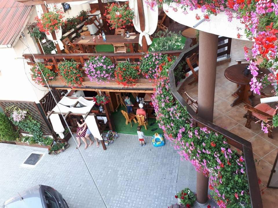 Pensiunea Daiana Năvodari Exterior foto