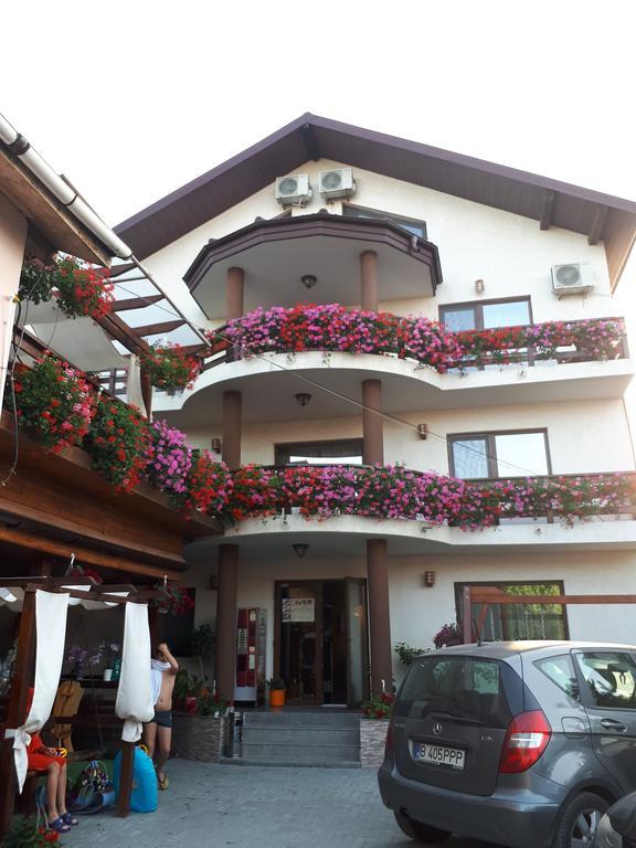 Pensiunea Daiana Năvodari Exterior foto